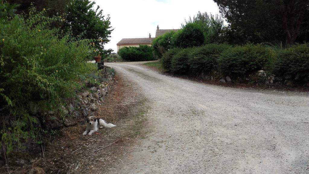 Maison d'Hôtes Afrika du Queyroux Ginestet Extérieur photo